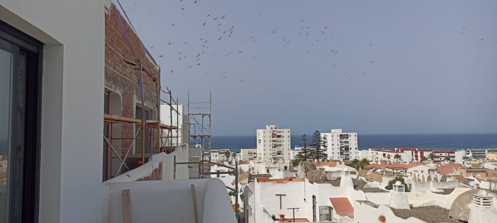 Vistas / Views
